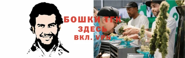 тгк Магас