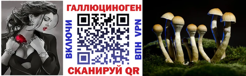где купить Лысково Псилоцибиновые грибы Psilocybine cubensis